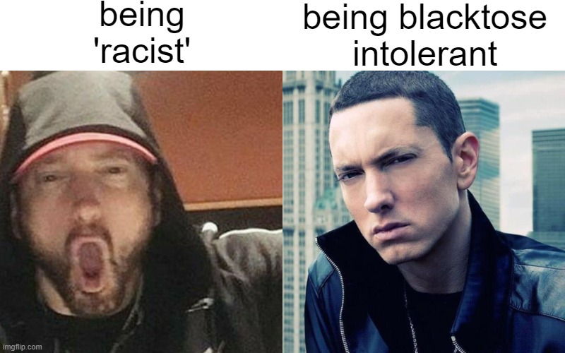 soyjack eminem vs chad eminem spaced | being 'racist'; being blacktose intolerant | image tagged in soyjack eminem vs chad eminem spaced | made w/ Imgflip meme maker