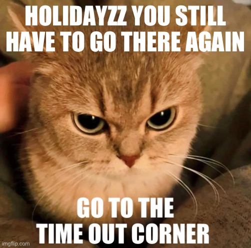 GO | HOLIDAYZZ YOU STILL HAVE TO GO THERE AGAIN | image tagged in go | made w/ Imgflip meme maker