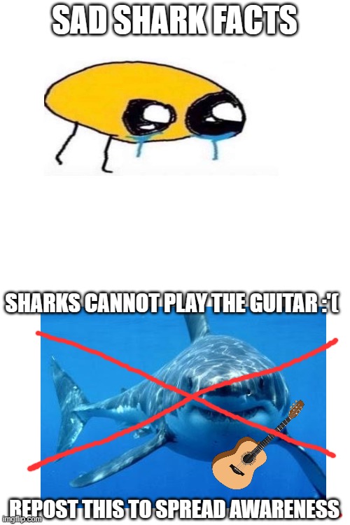 This is extremely disquieting :((((((((((((((((((( | SAD SHARK FACTS; SHARKS CANNOT PLAY THE GUITAR :'(; REPOST THIS TO SPREAD AWARENESS | made w/ Imgflip meme maker