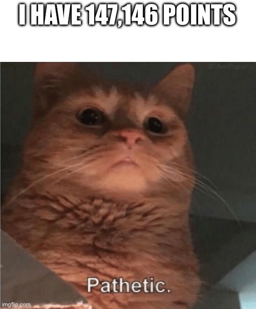 Pathetic Cat | I HAVE 147,146 POINTS | image tagged in pathetic cat | made w/ Imgflip meme maker