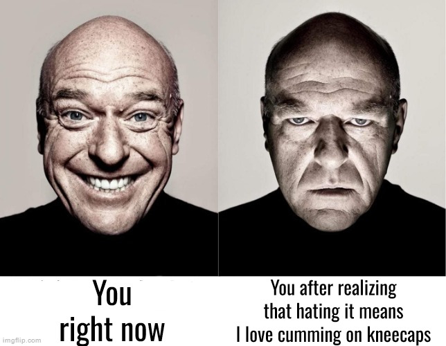 breaking bad smile frown | You right now You after realizing that hating it means I love cumming on kneecaps | image tagged in breaking bad smile frown | made w/ Imgflip meme maker