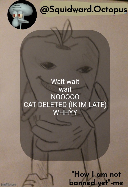 WHY | Wait wait wait
NOOOOO
CAT DELETED (IK IM LATE)
WHHYY | image tagged in squidward octopus announcement template | made w/ Imgflip meme maker