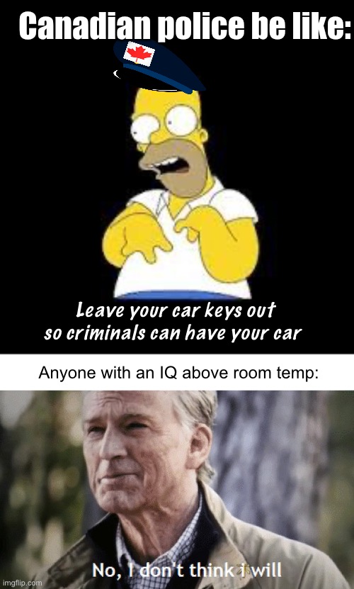Progressives: “criminals first” | Canadian police be like:; Leave your car keys out so criminals can have your car; Anyone with an IQ above room temp: | image tagged in look marge,progressives,liberal logic,stupid people,derp | made w/ Imgflip meme maker