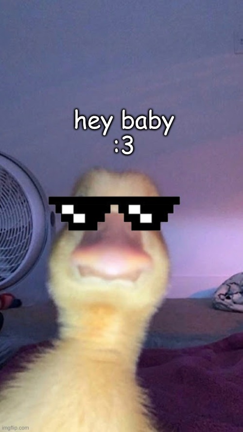 hey baby girl ☠ | hey baby

:3 | image tagged in duck selfie | made w/ Imgflip meme maker