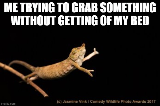 ME TRYING TO GRAB SOMETHING WITHOUT GETTING OF MY BED | image tagged in relatable,relatable memes,lizard | made w/ Imgflip meme maker