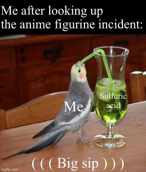 So basically,some red fluid which was suspected to be blood was poured on a Gojo figurine- | Me after looking up the anime figurine incident:; Sulfuric acid; Me; ( ( ( Big sip ) ) ) | image tagged in bird drinking green juice | made w/ Imgflip meme maker
