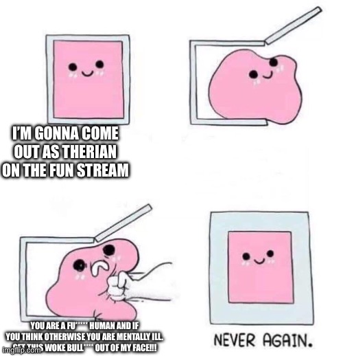Why is the fun stream so bigoted? | I’M GONNA COME OUT AS THERIAN ON THE FUN STREAM; YOU ARE A FU***** HUMAN AND IF YOU THINK OTHERWISE YOU ARE MENTALLY ILL. GET THIS WOKE BULL**** OUT OF MY FACE!!! | image tagged in never again | made w/ Imgflip meme maker