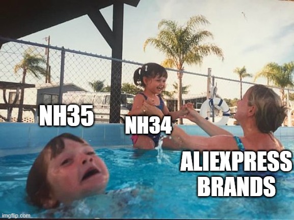 drowning kid in the pool | NH35; NH34; ALIEXPRESS BRANDS | image tagged in drowning kid in the pool | made w/ Imgflip meme maker