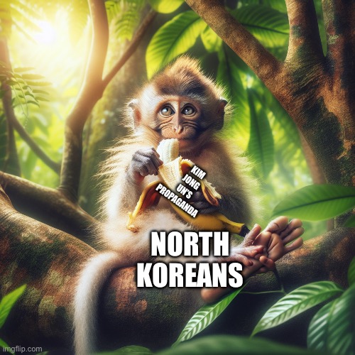 Monel | KIM JONG UN’S PROPAGANDA; NORTH KOREANS | image tagged in monkey | made w/ Imgflip meme maker
