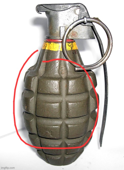 grenade | image tagged in grenade | made w/ Imgflip meme maker