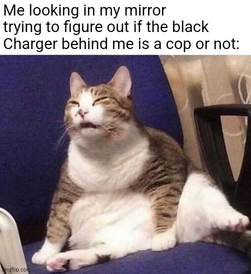 Normal people should stop buying black DODGE Chargers | Me looking in my mirror trying to figure out if the black Charger behind me is a cop or not: | image tagged in squinting cat | made w/ Imgflip meme maker
