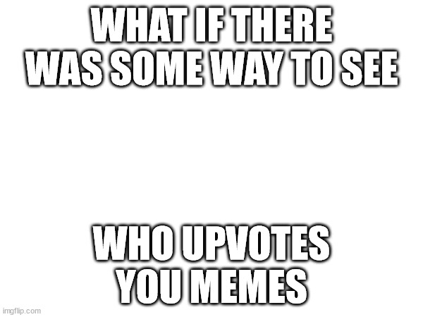 WHAT IF THERE WAS SOME WAY TO SEE; WHO UPVOTES YOU MEMES | image tagged in msmg | made w/ Imgflip meme maker