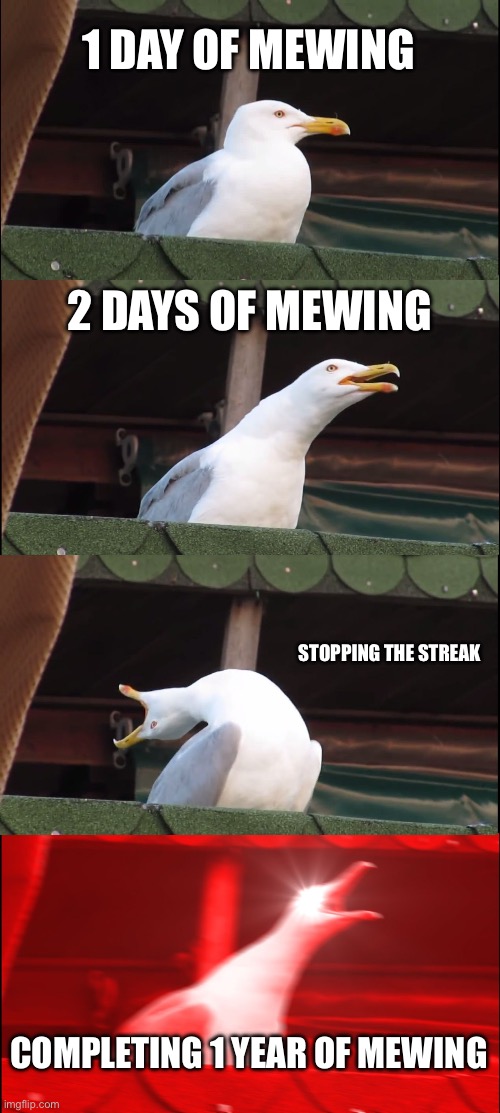 Inhaling Seagull | 1 DAY OF MEWING; 2 DAYS OF MEWING; STOPPING THE STREAK; COMPLETING 1 YEAR OF MEWING | image tagged in memes,inhaling seagull | made w/ Imgflip meme maker