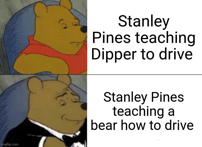 He taught a bear how to drive... | Stanley Pines teaching Dipper to drive; Stanley Pines teaching a bear how to drive | image tagged in memes,tuxedo winnie the pooh,jpfan102504,gravity falls | made w/ Imgflip meme maker