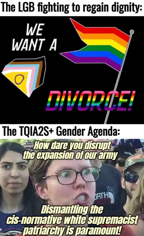 A showdown between Liberals and Progressives needs to happen. Say no to politics and industry. | The TQIA2S+ Gender Agenda:; How dare you disrupt the expansion of our army; Dismantling the cis-normative white supremacist patriarchy is paramount! | image tagged in triggered liberal,lgbtq,identity politics | made w/ Imgflip meme maker
