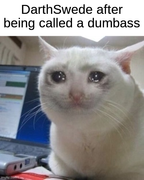 real | DarthSwede after being called a dumbass | image tagged in crying cat,memes,funny | made w/ Imgflip meme maker