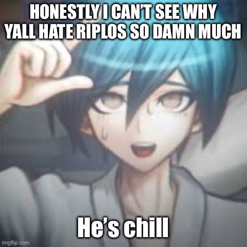 Shuichi L | HONESTLY I CAN’T SEE WHY YALL HATE RIPLOS SO DAMN MUCH; He’s chill | image tagged in shuichi l | made w/ Imgflip meme maker