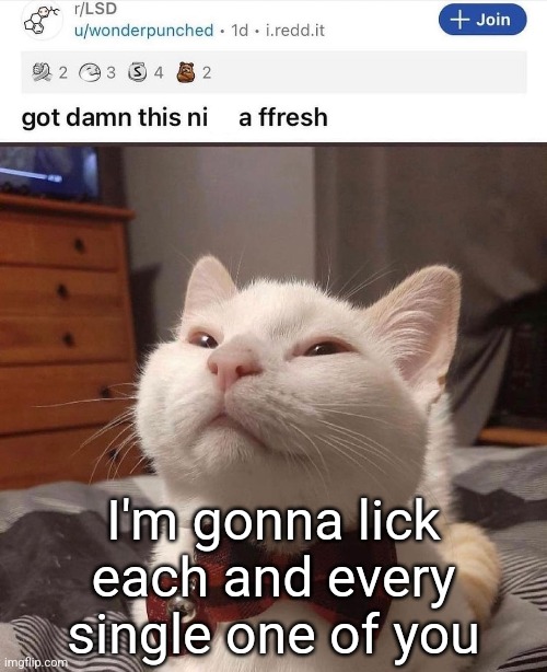 :3 | I'm gonna lick each and every single one of you | image tagged in lsd cat | made w/ Imgflip meme maker