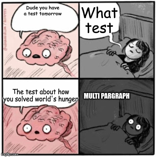 Every kid forgets to study | What test; Dude you have a test tomorrow; The test about how you solved world's hunger; MULTI PARGRAPH | image tagged in brain before sleep | made w/ Imgflip meme maker