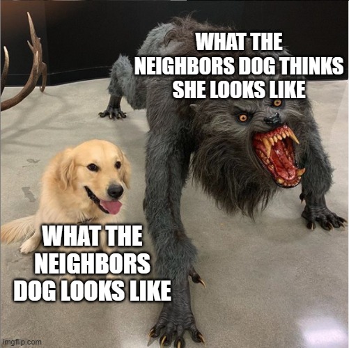 dog vs werewolf | WHAT THE NEIGHBORS DOG THINKS SHE LOOKS LIKE; WHAT THE NEIGHBORS DOG LOOKS LIKE | image tagged in dog vs werewolf | made w/ Imgflip meme maker