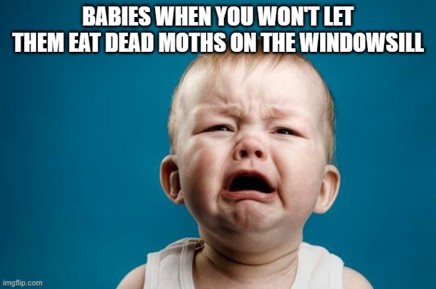 BABY CRYING | BABIES WHEN YOU WON'T LET THEM EAT DEAD MOTHS ON THE WINDOWSILL | image tagged in baby crying | made w/ Imgflip meme maker