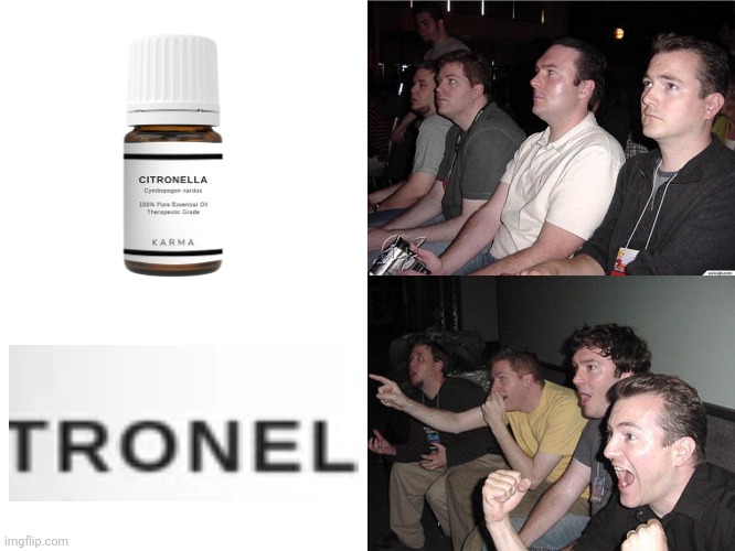 Can't spell Citronella oil without Tronel | image tagged in reaction guys,funny,so true | made w/ Imgflip meme maker