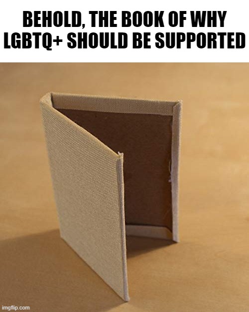 The book with no pages | BEHOLD, THE BOOK OF WHY LGBTQ+ SHOULD BE SUPPORTED | image tagged in the book with no pages | made w/ Imgflip meme maker