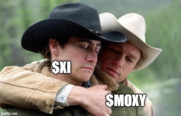 Xi and MOXY Space Tokens | $XI; $MOXY | image tagged in brokeback mountain | made w/ Imgflip meme maker