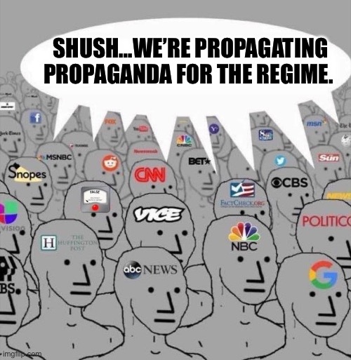 NPC media | SHUSH…WE’RE PROPAGATING PROPAGANDA FOR THE REGIME. | image tagged in npc media,political meme | made w/ Imgflip meme maker