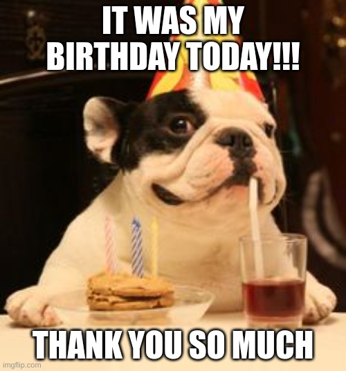Look at the bulldog :) | IT WAS MY BIRTHDAY TODAY!!! THANK YOU SO MUCH | image tagged in bulldog birthday | made w/ Imgflip meme maker
