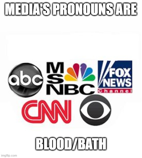 Media Lies | MEDIA'S PRONOUNS ARE; BLOOD/BATH | image tagged in media lies,fake news,democrats,pronouns | made w/ Imgflip meme maker