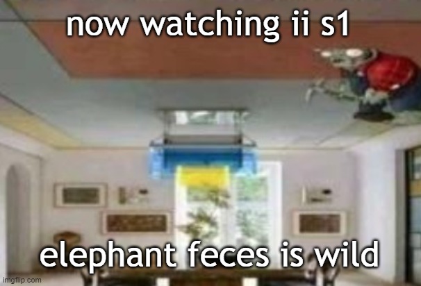 in the ceiling | now watching ii s1; elephant feces is wild | image tagged in in the ceiling | made w/ Imgflip meme maker