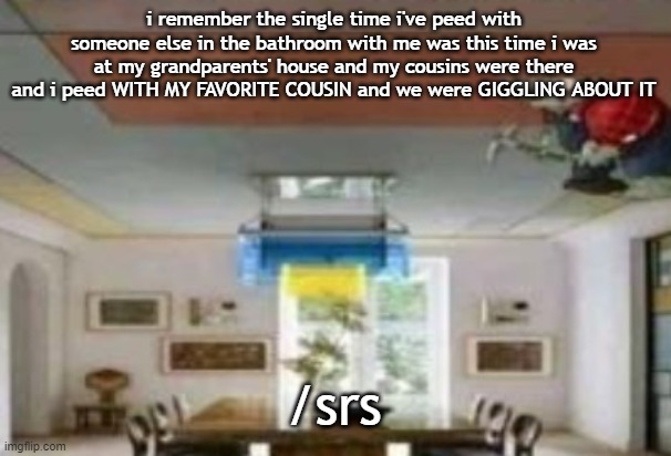 WE WERE LIKE?? BEST BUDS | i remember the single time i've peed with someone else in the bathroom with me was this time i was at my grandparents' house and my cousins were there and i peed WITH MY FAVORITE COUSIN and we were GIGGLING ABOUT IT; /srs | image tagged in in the ceiling | made w/ Imgflip meme maker