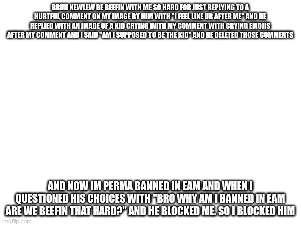 ik ur not the wiset in moderations but do something Andrew | BRUH KEWLEW BE BEEFIN WITH ME SO HARD FOR JUST REPLYING TO A HURTFUL COMMENT ON MY IMAGE BY HIM WITH "I FEEL LIKE UR AFTER ME" AND HE REPLIED WITH AN IMAGE OF A KID CRYING WITH MY COMMENT WITH CRYING EMOJIS AFTER MY COMMENT AND I SAID "AM I SUPPOSED TO BE THE KID" AND HE DELETED THOSE COMMENTS; AND NOW IM PERMA BANNED IN EAM AND WHEN I QUESTIONED HIS CHOICES WITH "BRO WHY AM I BANNED IN EAM ARE WE BEEFIN THAT HARD?" AND HE BLOCKED ME. SO I BLOCKED HIM | made w/ Imgflip meme maker