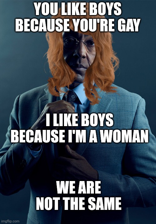 Gus Fring we are not the same | YOU LIKE BOYS BECAUSE YOU'RE GAY; I LIKE BOYS BECAUSE I'M A WOMAN; WE ARE NOT THE SAME | image tagged in gus fring we are not the same | made w/ Imgflip meme maker