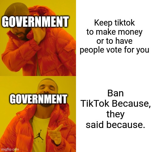 2024 | Keep tiktok to make money or to have people vote for you; GOVERNMENT; Ban TikTok Because, they said because. GOVERNMENT | image tagged in memes,drake hotline bling | made w/ Imgflip meme maker
