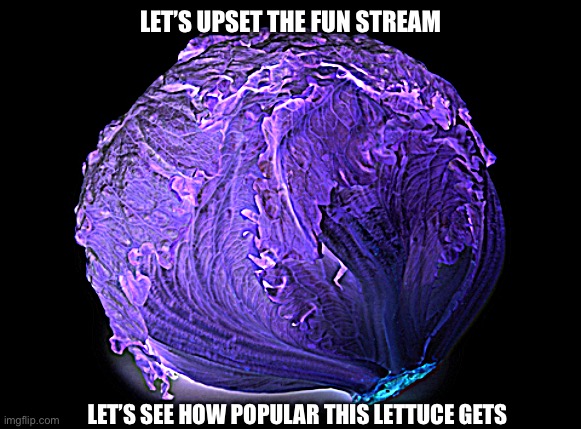 Purple lettuce | LET’S UPSET THE FUN STREAM; LET’S SEE HOW POPULAR THIS LETTUCE GETS | image tagged in lettuce | made w/ Imgflip meme maker