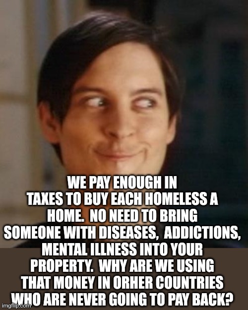 Toby mcguire | WE PAY ENOUGH IN TAXES TO BUY EACH HOMELESS A HOME.  NO NEED TO BRING SOMEONE WITH DISEASES,  ADDICTIONS, MENTAL ILLNESS INTO YOUR PROPERTY. | image tagged in toby mcguire | made w/ Imgflip meme maker