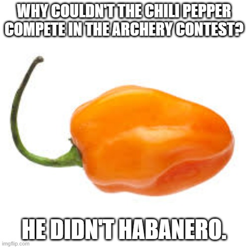 meme by Brad why didn't the pepper do archery? | WHY COULDN'T THE CHILI PEPPER COMPETE IN THE ARCHERY CONTEST? HE DIDN'T HABANERO. | image tagged in sports,funny,bow and arrow,archery,peppers,humor | made w/ Imgflip meme maker
