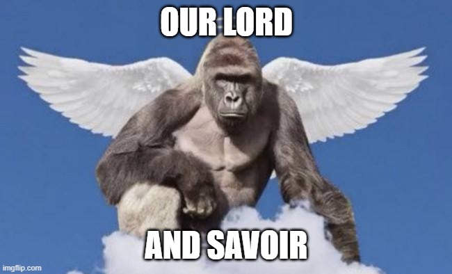 Harambe | OUR LORD; AND SAVOIR | image tagged in harambe | made w/ Imgflip meme maker