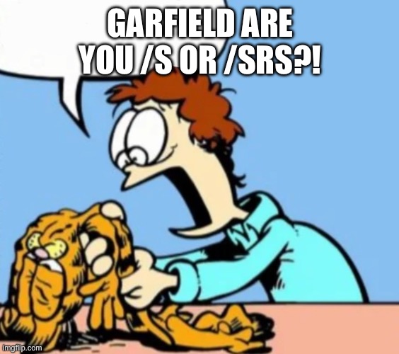 Deflated garfeild | GARFIELD ARE YOU /S OR /SRS?! | image tagged in deflated garfeild | made w/ Imgflip meme maker