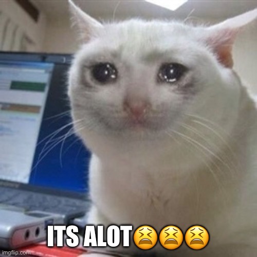 Crying cat | ITS ALOT😫😫😫 | image tagged in crying cat | made w/ Imgflip meme maker