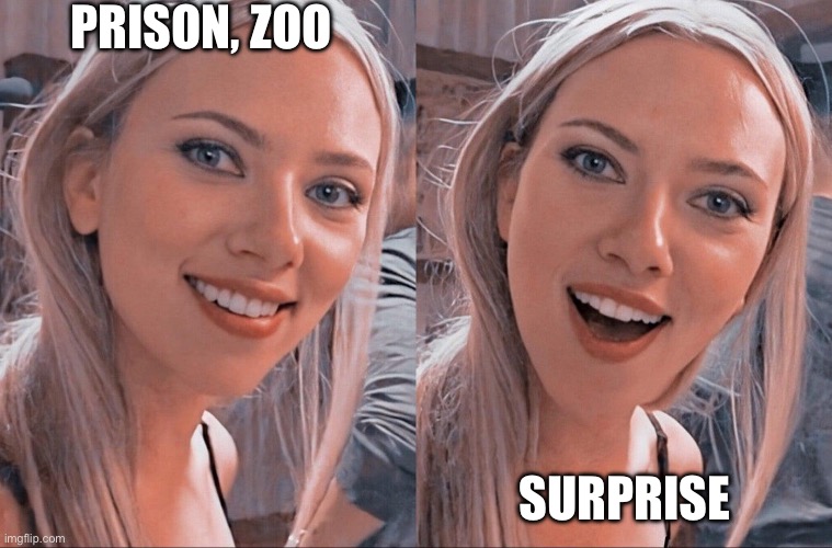 Surprised Scarlett Johansson | PRISON, ZOO; SURPRISE | image tagged in surprised scarlett johansson | made w/ Imgflip meme maker
