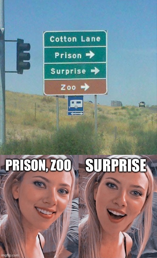 Surprise | PRISON, ZOO; SURPRISE | image tagged in surprised scarlett johansson,prison,zoo | made w/ Imgflip meme maker