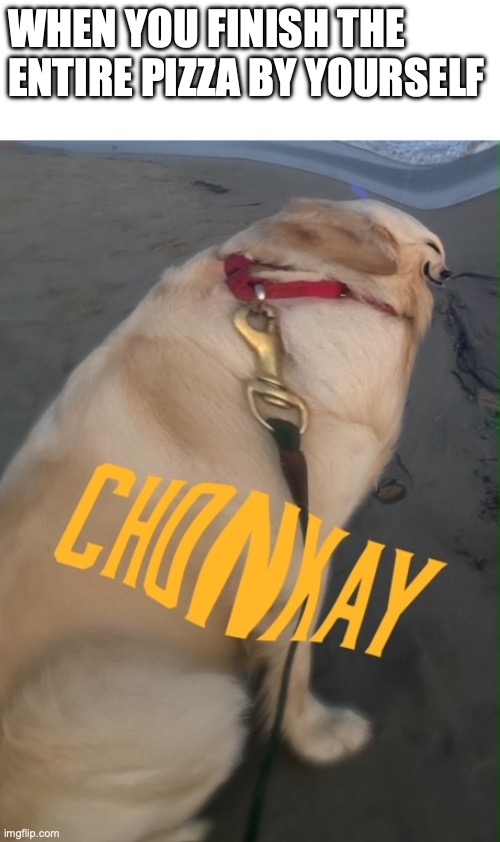 New Meme! (credit to our dog and photoshop) | WHEN YOU FINISH THE ENTIRE PIZZA BY YOURSELF | image tagged in new,funny,dogs,doggo,fat,big chungus | made w/ Imgflip meme maker