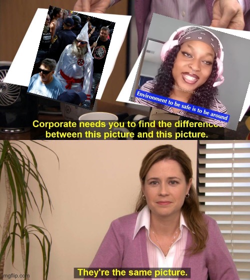 Looks the same to me | image tagged in they are the same picture | made w/ Imgflip meme maker