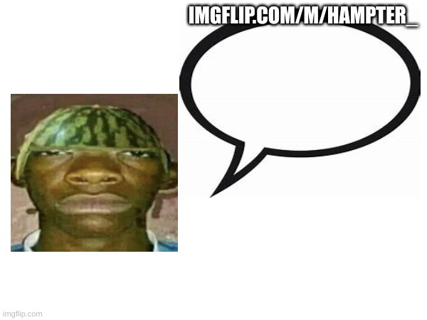 there is no rule against advertisement | IMGFLIP.COM/M/HAMPTER_ | image tagged in watermelonmans important message | made w/ Imgflip meme maker
