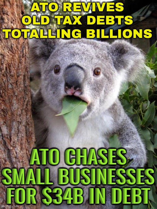 Whiff of Robodebt | ATO REVIVES OLD TAX DEBTS TOTALLING BILLIONS; ATO CHASES SMALL BUSINESSES
FOR $34B IN DEBT | image tagged in shocked koala,national debt,debt,taxation is theft,meanwhile in australia,australians | made w/ Imgflip meme maker