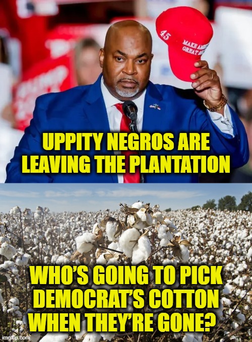 Pick it yourself! | UPPITY NEGROS ARE LEAVING THE PLANTATION; WHO’S GOING TO PICK
DEMOCRAT’S COTTON
WHEN THEY’RE GONE? | image tagged in democrats | made w/ Imgflip meme maker