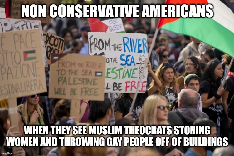 Democrats Pro-Palestinian Anti-Israel JPP | NON CONSERVATIVE AMERICANS WHEN THEY SEE MUSLIM THEOCRATS STONING WOMEN AND THROWING GAY PEOPLE OFF OF BUILDINGS | image tagged in democrats pro-palestinian anti-israel jpp | made w/ Imgflip meme maker